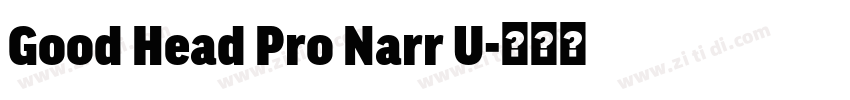 Good Head Pro Narr U字体转换 Good Head Pro Narr U字体转换